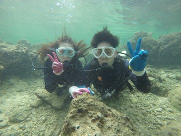 武藤潜水に投稿された画像（2020/11/26）