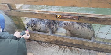 那須どうぶつ王国に投稿された画像（2020/11/26）