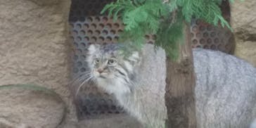 那須どうぶつ王国に投稿された画像（2020/11/26）