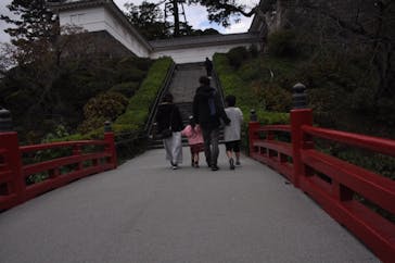 小田原城に投稿された画像（2020/11/26）