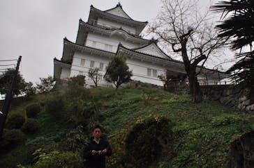 小田原城に投稿された画像（2020/11/26）