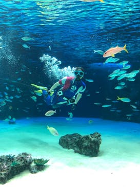 サンシャイン水族館に投稿された画像（2020/11/26）