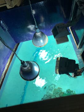 サンシャイン水族館に投稿された画像（2020/11/26）