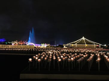 東京メガイルミに投稿された画像（2020/11/26）