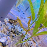 ゼロ距離水族館 伊勢シーパラダイスに投稿された画像（2020/11/26）