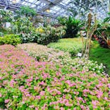 なばなの里に投稿された画像（2020/11/26）