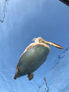 サンシャイン水族館に投稿された画像（2020/11/26）