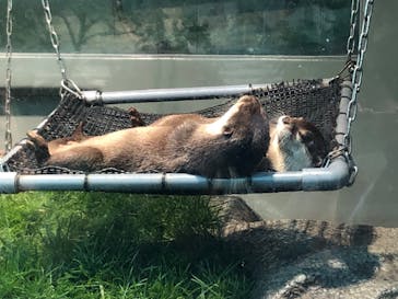 サンシャイン水族館に投稿された画像（2020/11/26）