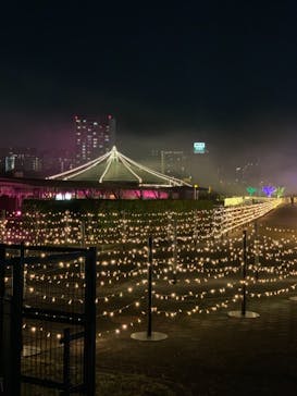 東京メガイルミに投稿された画像（2020/11/26）