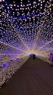 東京メガイルミに投稿された画像（2020/11/26）