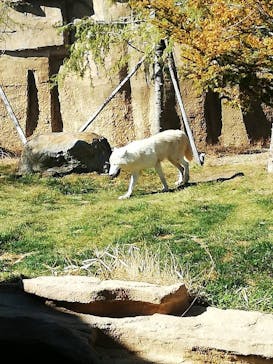 那須どうぶつ王国に投稿された画像（2020/11/26）