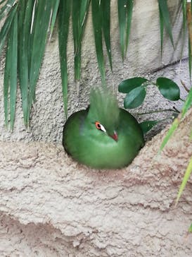 那須どうぶつ王国に投稿された画像（2020/11/26）