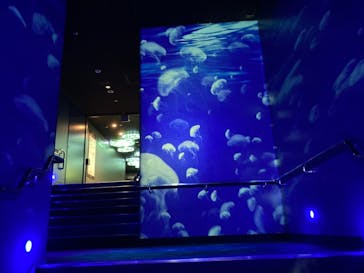 サンシャイン水族館に投稿された画像（2020/11/26）