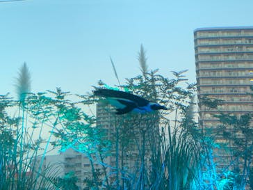 サンシャイン水族館に投稿された画像（2020/11/26）