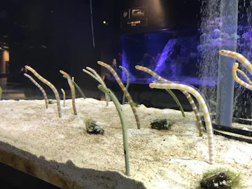 すみだ水族館に投稿された画像（2020/11/26）