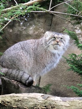 那須どうぶつ王国に投稿された画像（2020/11/26）