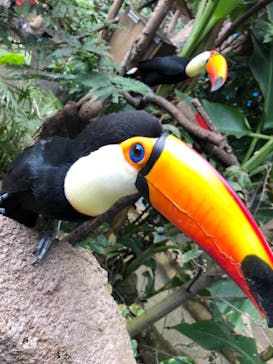 那須どうぶつ王国に投稿された画像（2020/11/26）