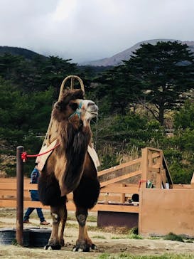 那須どうぶつ王国に投稿された画像（2020/11/26）