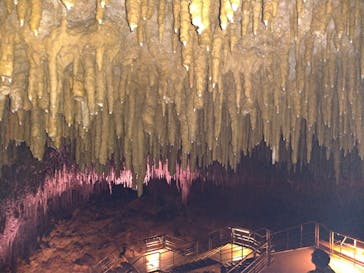 おきなわワールドに投稿された画像（2020/11/26）