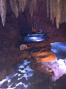 おきなわワールドに投稿された画像（2020/11/26）