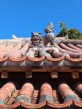 おきなわワールドに投稿された画像（2020/11/26）