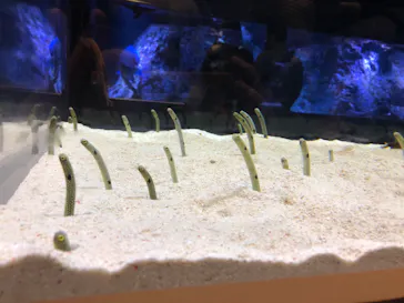 すみだ水族館に投稿された画像（2020/11/26）