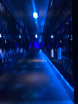 すみだ水族館に投稿された画像（2020/11/26）