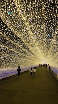 なばなの里に投稿された画像（2020/11/26）