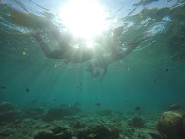 武藤潜水に投稿された画像（2020/11/27）