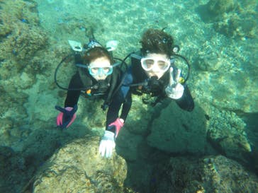 武藤潜水に投稿された画像（2020/11/27）