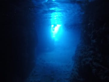 武藤潜水に投稿された画像（2020/11/27）