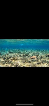 武藤潜水に投稿された画像（2020/11/27）