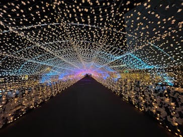 東京メガイルミに投稿された画像（2020/11/27）