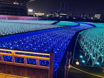 東京メガイルミに投稿された画像（2020/11/27）