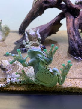 サンシャイン水族館に投稿された画像（2020/11/27）