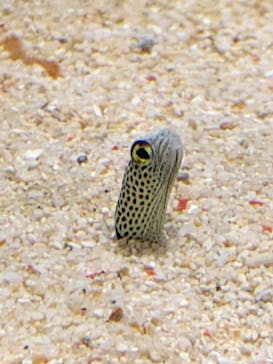 サンシャイン水族館に投稿された画像（2020/11/27）