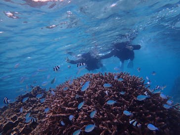 宮古島 ADVENTURE PiPi（ミヤコジマ アドベンチャー ピピ）に投稿された画像（2020/11/27）