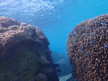 宮古島 ADVENTURE PiPi（ミヤコジマ アドベンチャー ピピ）に投稿された画像（2020/11/27）