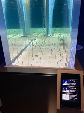 すみだ水族館に投稿された画像（2020/11/27）