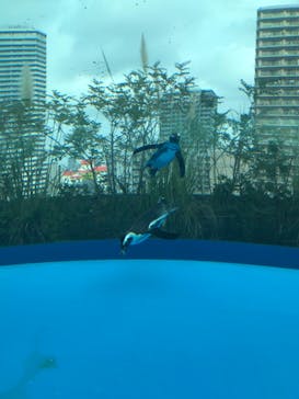 サンシャイン水族館に投稿された画像（2020/11/27）