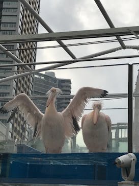 サンシャイン水族館に投稿された画像（2020/11/27）