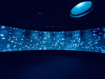 サンシャイン水族館に投稿された画像（2020/11/27）