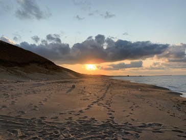 鳥取砂丘サンドボードスクール事業部に投稿された画像（2020/11/27）