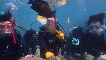 ダイビングショップ Sea Free（シーフリー）に投稿された画像（2020/11/27）