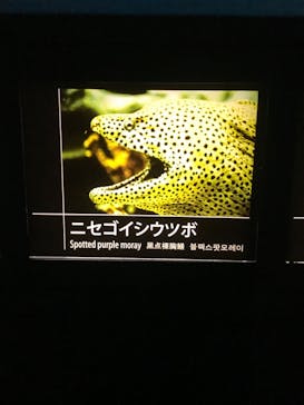 サンシャイン水族館に投稿された画像（2020/11/27）
