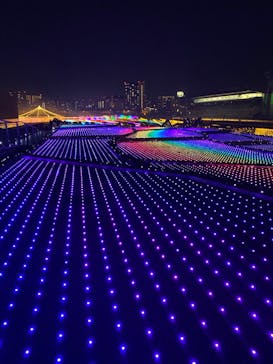 東京メガイルミに投稿された画像（2020/11/27）