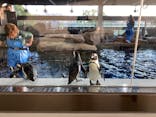 京都水族館に投稿された画像（2020/11/27）