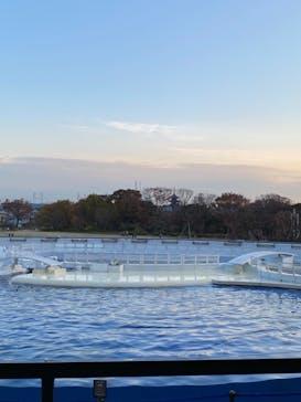 京都水族館に投稿された画像（2020/11/27）