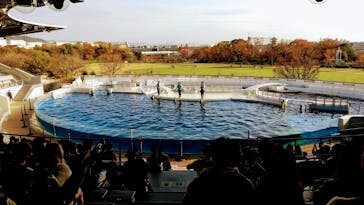 京都水族館に投稿された画像（2020/11/27）