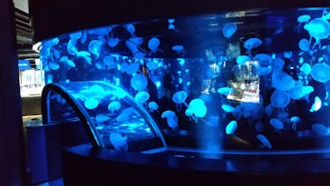 京都水族館に投稿された画像（2020/11/27）